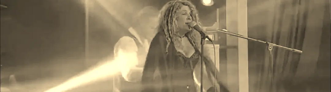Fleetwood Journey - Tribute To Fleetwood Mac