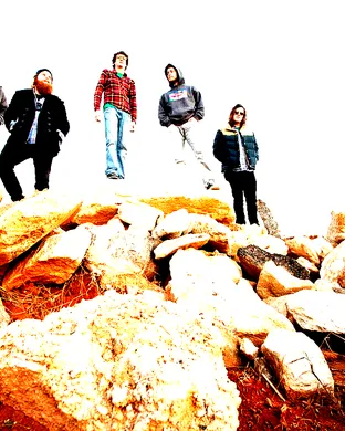 Futurebirds Fort Worth
