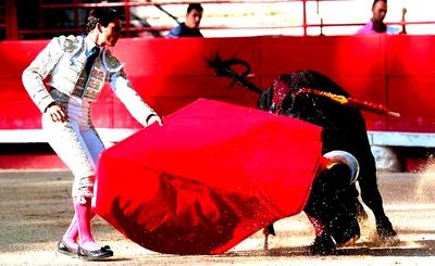 Spain