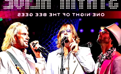 Stayin' Alive - One Night of the Bee Gees