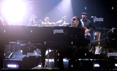 Stevie Wonder