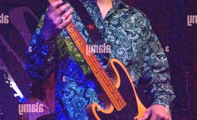 The Fabulous Thunderbirds