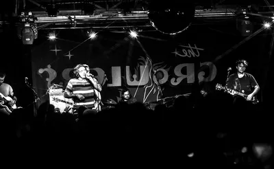 The Growlers