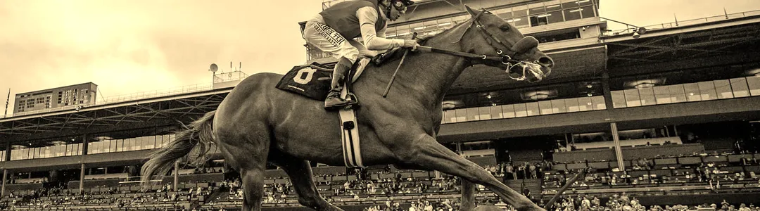 Thoroughbred Racing
