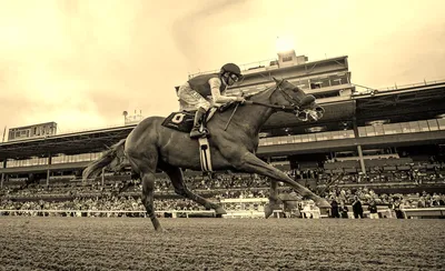 Thoroughbred Racing