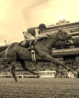 Thoroughbred Racing