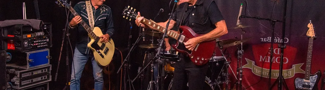 Tommy Castro And The Painkillers
