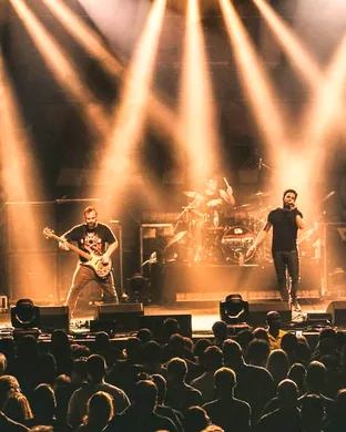 Trapt Plano