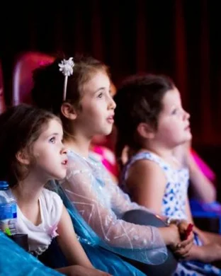 Disney's Frozen Kids Plano